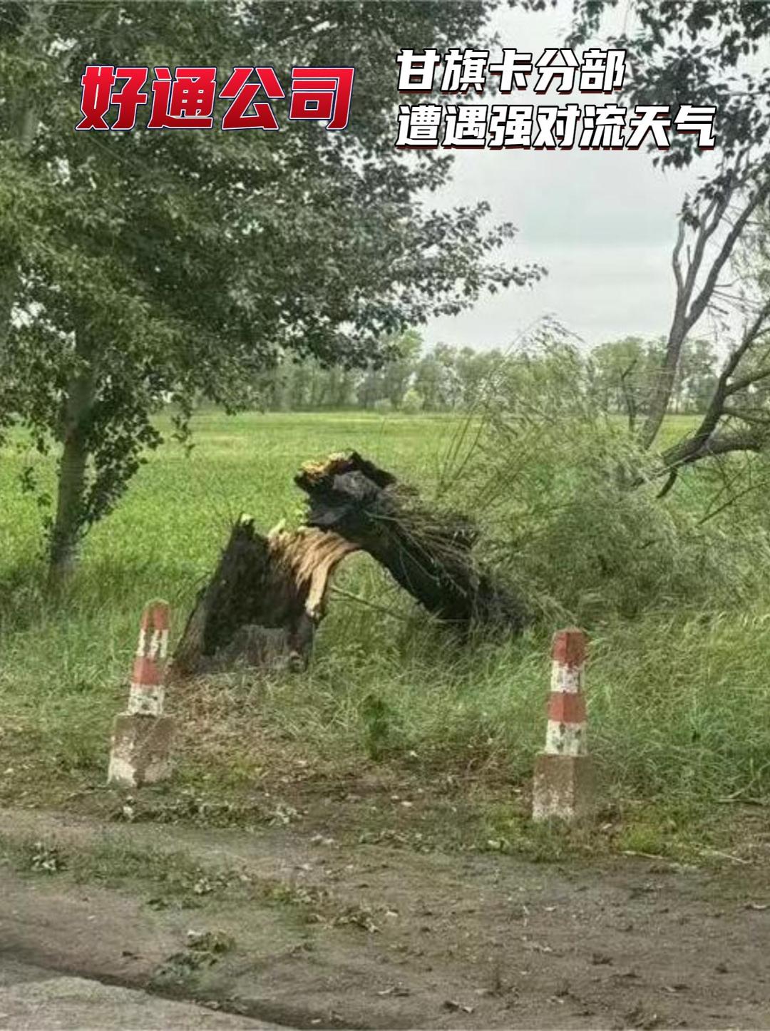 炎炎夏日迎來冰雹考驗